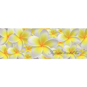   Vanília virág vlies poszter, fotótapéta 793VEEXXL /624x219 cm/