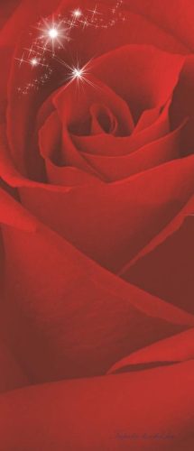 Rózsa vlies poszter, fotótapéta 8-010VET /91x211 cm/