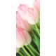Tulipánok vlies poszter, fotótapéta 8-018VET /91x211 cm/