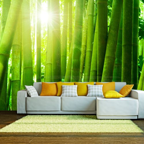 Fotótapéta - Sun and bamboo, 200x154 cm