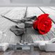 Fotótapéta - Abandoned Rose, 98x70 cm, Öntapadós