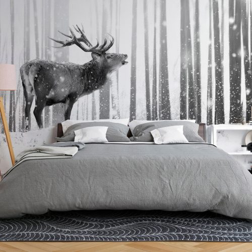 Fotótapéta - Deer in the Snow (Black and White), 98x70 cm, Öntapadós