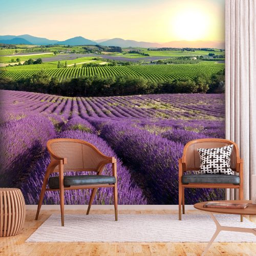 Fotótapéta - Lavender Field, 98x70 cm, Öntapadós