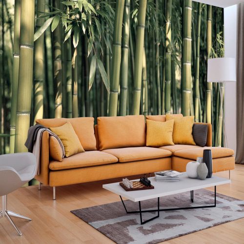 Fotótapéta - Bamboo Exotic, 100x70 cm