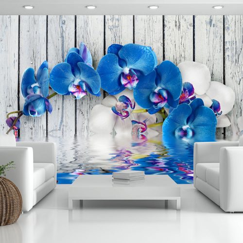 Fotótapéta - Cobaltic orchid, 300x210 cm