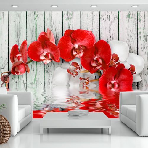 Fotótapéta - Ruby orchid, 300x210 cm