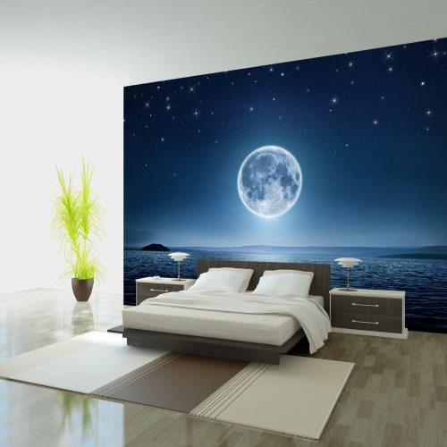Fotótapéta - Moonlit night, 150x105 cm