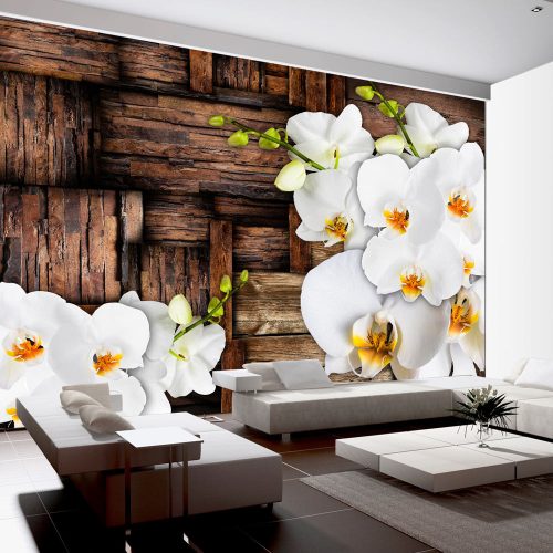 Fotótapéta - Blooming orchids, 400x280 cm