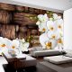 Fotótapéta - Blooming orchids, 150x105 cm