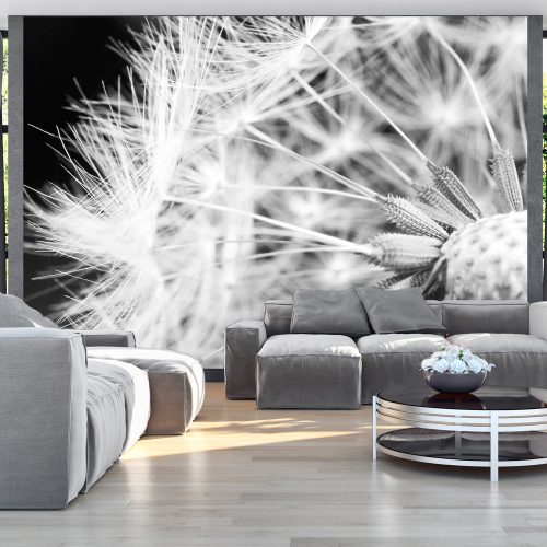 Fotótapéta - Black and white dandelion, 100x70 cm