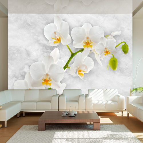Fotótapéta - Lyrical orchid - White