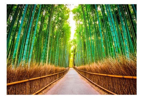 Fotótapéta - Bamboo Forest, 98x70 cm, Öntapadós