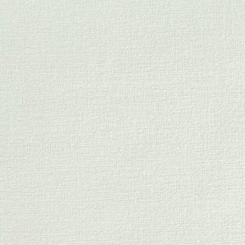 Halvány szürke egyszínű tapéta (A48906)