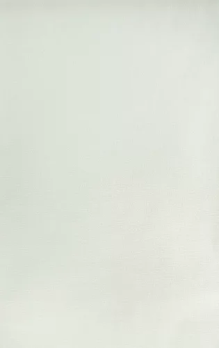 Halvány szürke egyszínű tapéta (A48906)