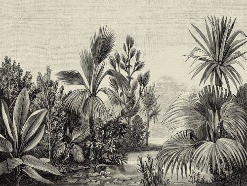 Fotótapéta, Fekete-fehér dzsungel, Prémium, 371x280 cm