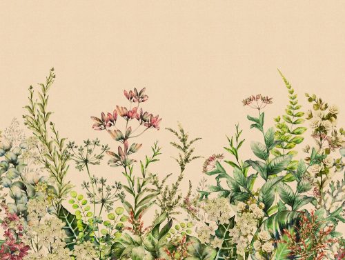 Fotótapéta, Mezei virágok, Prémium, 371x280 cm