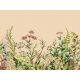 Fotótapéta, Mezei virágok, Prémium, 371x280 cm