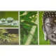 Buddha és naturál,öntapadós  bordűr