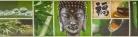 Buddha és naturál,öntapadós  bordűr