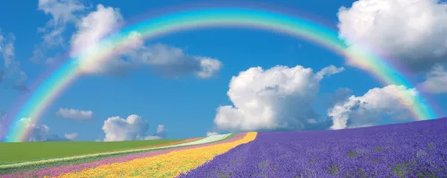 Szivárvány poszter, fotótapéta (250 cm x 104 xm)