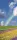 Szivárvány poszter, fotótapéta (91 x 211 cm)