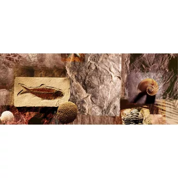 Kövület város poszter, fotótapéta (250 x 104 cm)