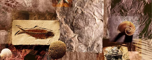Kövület város poszter, fotótapéta (250 x 104 cm)