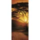 Afrika öntapadós poszter, fotótapéta (91 x 211 cm)