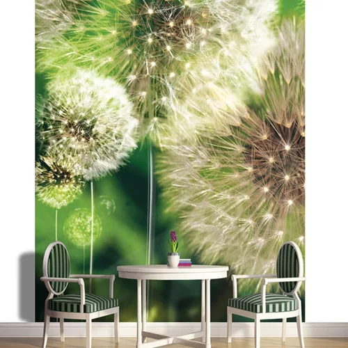 Pitypang poszter, fotótapéta (184 x 254 cm)