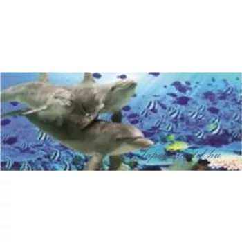 Delfinek poszter, fotótapéta (250 x 104 cm)