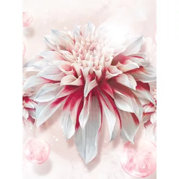 Virágok poszter, fotótapéta (206 x 275 cm)