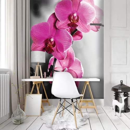 Orchideák poszter, fotótapéta (184 x 254 cm)