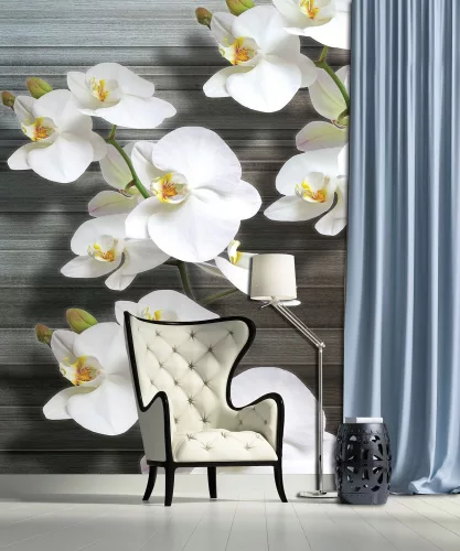 Orchidea poszter, fotótapéta (184 x 254 cm)
