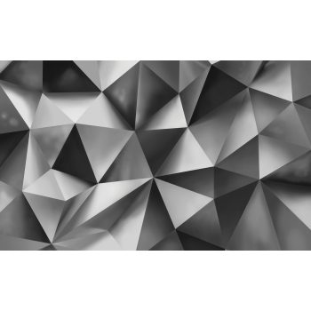 Ezüst absztrakt poszter, fotótapéta, Vlies (368 x 254 cm)