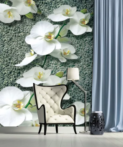 Orchidea poszter, fotótapéta (184 x 254 cm)