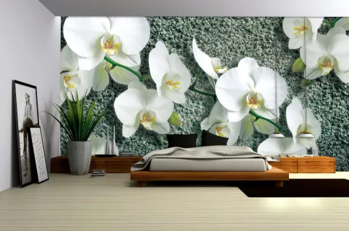 Orchidea poszter, fotótapéta