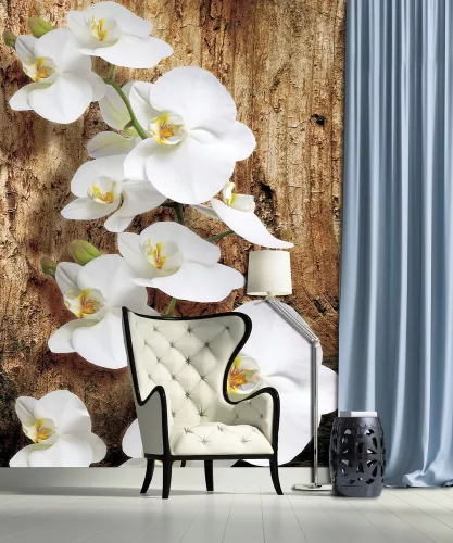 Orchidea poszter, fotótapéta (184 x 254 cm)