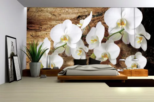 Orchidea poszter, fotótapéta