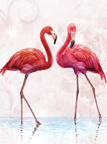 Flamingók poszter, fotótapéta, Vlies  (206x275 cm, álló)