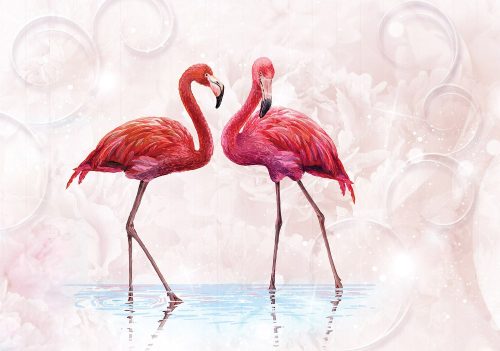 Flamingók poszter, fotótapéta Vlies (368 x 254 cm)