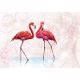 Flamingók  poszter, fotótapéta, Vlies (104 x 70,5 cm)