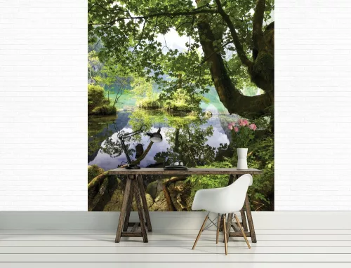 Erdei patak poszter, fotótapéta (184 x 254 cm)