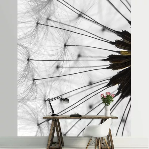 Pitypang poszter, fotótapéta (184 x 254 cm)