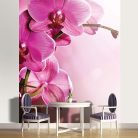 Orchidea poszter, fotótapéta, Vlies  (206x275 cm, álló)