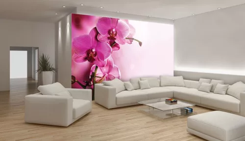Orchidea poszter, fotótapéta