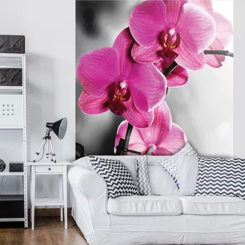 Orchidea poszter, fotótapéta (184 x 254 cm)