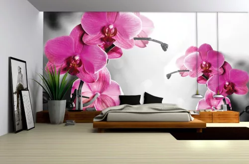 Orchidea poszter, fotótapéta