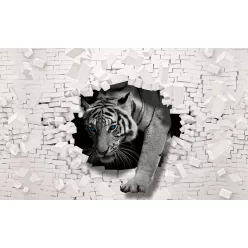 Tigris poszter, fotótapéta (300 x 210 cm)