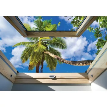 Pálmafára néző ablak poszter, fotótapéta