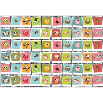 Színes madarak poszter, fotótapéta